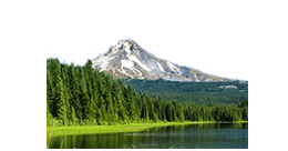 Scenic view